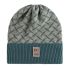 Dusk Beanie LaurelUrban Green