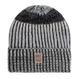 Remy Beanie Silver Mist